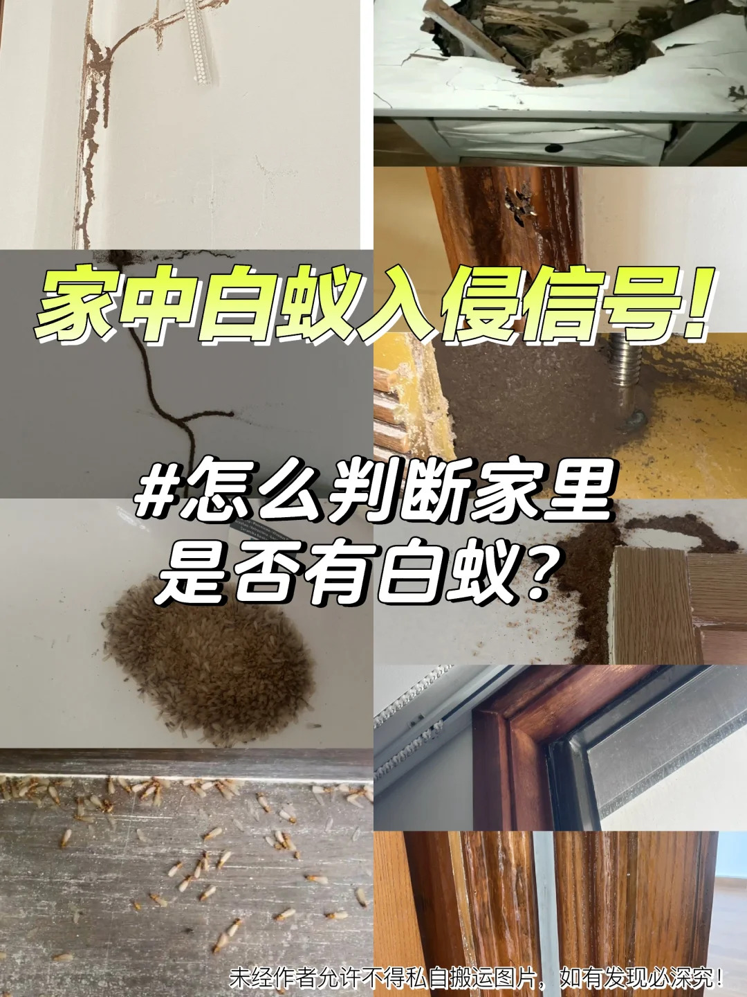 家中入侵白蚁时，会有哪些明显信号？_1_中成建筑白蚁防治有限公司_来自小红书网页版.jpg